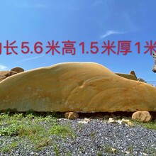 河南市工厂招牌黄蜡石大型黄蜡石价格