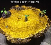 大黄金樟茶盘,黄金樟实木茶盘110-100-9cm