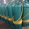 河北沧州潜水电泵BQS165-30-22KW防爆排污排沙潜水泵