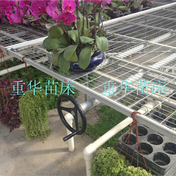 苗床規(guī)格