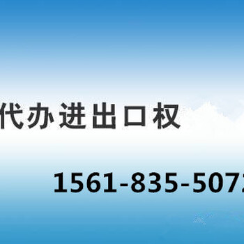 办理上海进出口权要准备什么材料