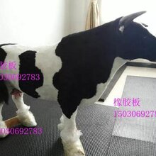 爱他美和牛栏哪个好牛栏铺设耐磨防滑橡胶垫易清洗人畜喜欢图片