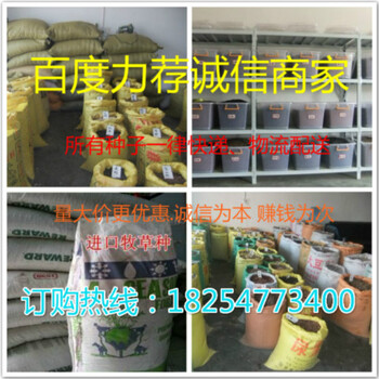 大力士甜高粱牧草種子