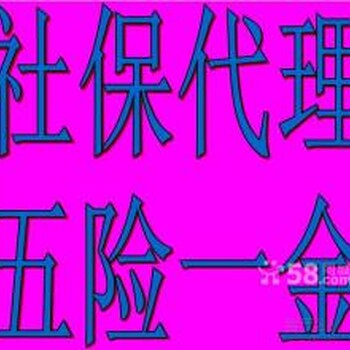 社保查询个人账户缴费明细