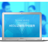 广东广州增城aeo认证关务软件怎么选择比较好？