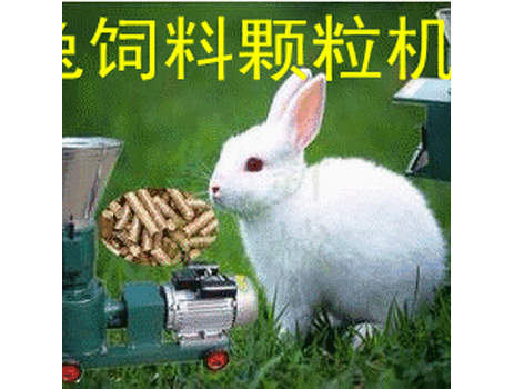 SKJ-120型家用小型飼料顆粒機，配用2.2kw電機，適應(yīng)性廣，噪音低