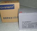 AGM蓄电池6-GFM-40CH.GREAT阀控密封式12V40AH10HR