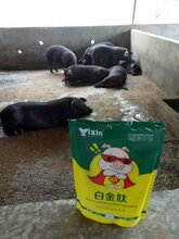 猪吃什么长的快偏方猪喂什么长得快猪催肥饲料添加剂图片