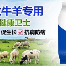 育肥牛饲养方法牛吃什么上膘快肉牛催肥增重王图片