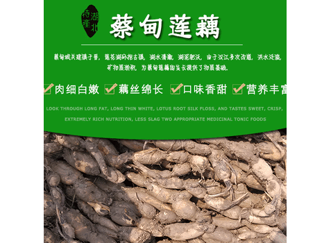 蔡甸煲湯蓮藕新鮮粉藕5斤裝包郵