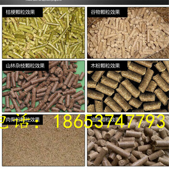廠家家禽家畜飼料顆粒機(jī)無機(jī)肥顆粒生產(chǎn)成型機(jī)平模環(huán)模飼料顆粒機(jī)
