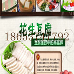 直供七彩豆腐机水晶豆腐机包技术图片5