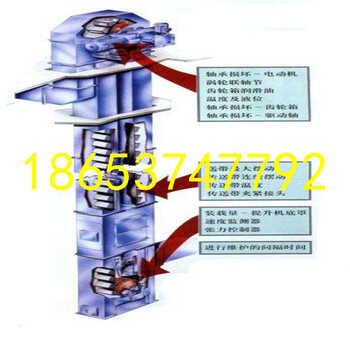 自产自销水泥斗式提升机粉煤灰斗式提升机质优