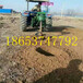 成本直供悬挂式挖坑机施肥挖坑机耐用