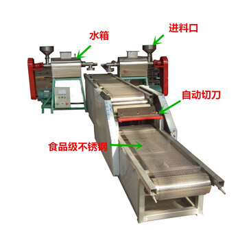 小型红薯粉条机器重庆免冷冻免搓洗粉条机电汽两用