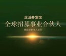 丝派养发馆：先进盈利模式赢得加盟者信赖图片