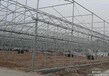  Characteristics of Double beam Steel Structure Greenhouse of Greenhouse Factory in Hebei Province