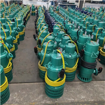 河南郑州BQS20-40-5.5/B外装式出水口矿用隔爆潜污泵
