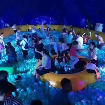 兒童撫摸鯨魚鯨魚島到出租出售