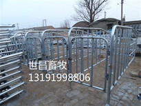 养猪设备母猪定位栏猪用限位栏厂家直供图片0