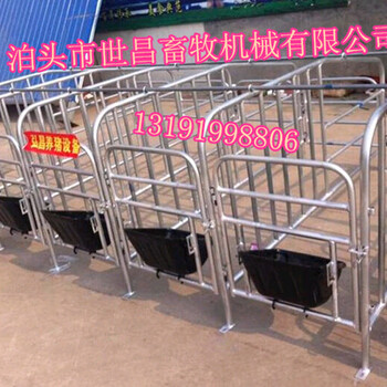母猪定位栏沧州畜牧养殖猪场用母猪定位栏的优势