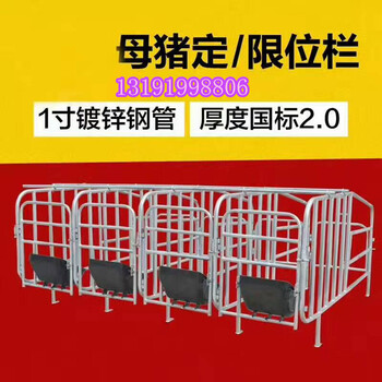 母猪保胎定位栏河北养猪设备厂家出售老母猪限位栏价格