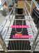 世昌畜牧机械生产产床配套设备高培产仔床母猪产床