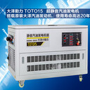 15KW汽車發(fā)電機(jī)廠家
