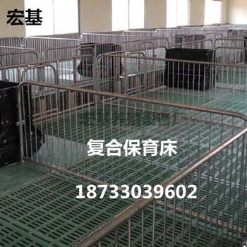 安顺复合小猪保育床双体育肥床猪设备生产厂家