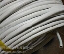 深圳50对室内0.5芯大对数通信电缆价格