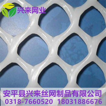 雛雞籠腳墊網(wǎng)2.5米寬塑料網(wǎng)加厚塑料平網(wǎng)養(yǎng)殖塑料平網(wǎng)