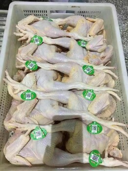 检疫合格的生鲜家禽需套上二维码脚环配送到市场售卖