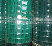 养鸡铁丝网隔离围栏果园种植浸塑绿色护网荷兰网护栏厂家