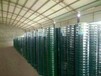 大量供应浸塑荷兰网荷兰网批发养殖场浸塑电焊网养殖围栏网