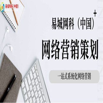 武汉企业网络营销代维代发代管，服务类平台代运营找易城省心省钱