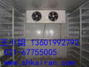 新疆大型冷冻库出租，4500平保鲜冷库出租价格，