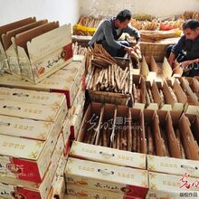 供应铁棍山药礼盒装_铁棍山药_山药_山药图片