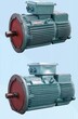 南京特种电机有限公司、YZR2系列起重及冶金用绕线转子三相异步电动机