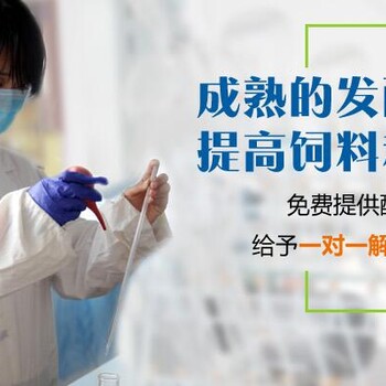 乳酸菌發(fā)酵飼料喂養(yǎng)黑豬