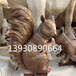 石雕动物树脂铸铜工艺铜雕动物小松鼠雕塑摆件