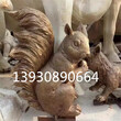 石雕动物树脂铸铜工艺铜雕动物小松鼠雕塑摆件图片
