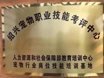 新昌学习宠物美容哪里好,新昌参加宠物美容培训项目学校图片1