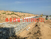 生态建设河渠防洪绿化格宾铅丝笼护岸挡墙