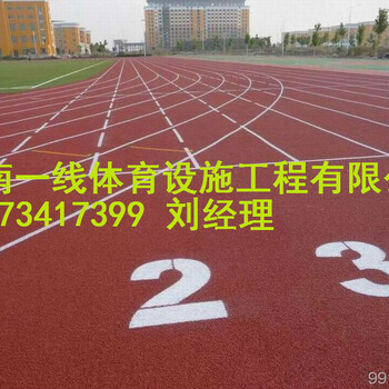 郴州永兴县塑胶跑道工程承接湖南一线体育设施工程