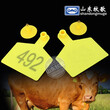 牛用耳标兽用识别设备带字牛用耳标牧场养殖用图片