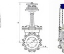 PZ4L43H链轮梅花刀型闸阀图片