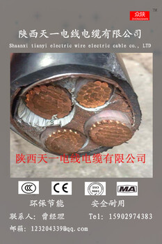 YJV223X50+1X25陕西电缆厂价格，西安电线电缆厂，陕西电力电缆