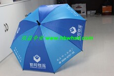 直杆广告礼品伞就选武汉双益雨伞1035图片2