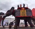 厂家最新推出机械大象低价出售蜂巢迷宫魅力风车