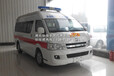 金杯大海狮2TR监护型救护车
